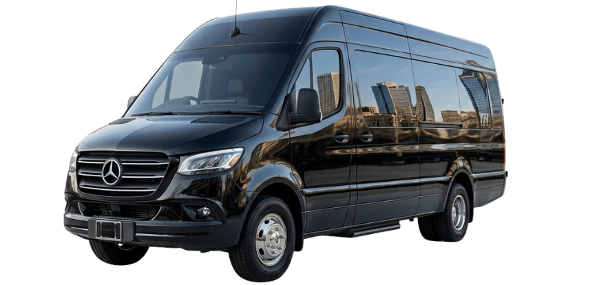 van_cat